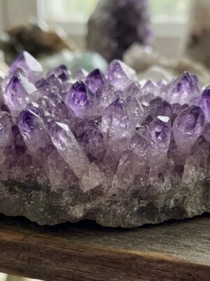 Amethyst Tooth Cluster Specimen