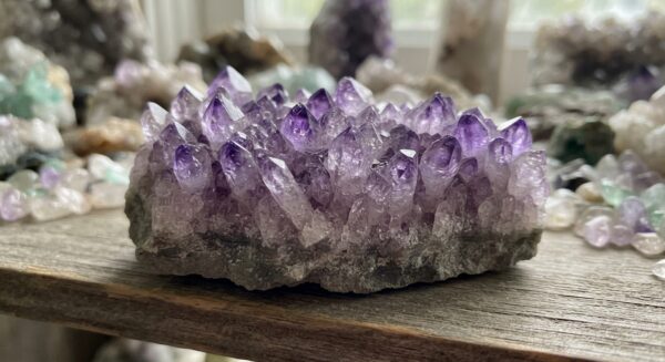 Amethyst Tooth Cluster Specimen