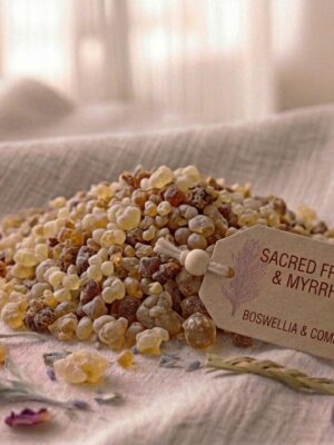 Sacred Frankincense & Myrrh Blend Sacred Frankincense & Myrrh Blend